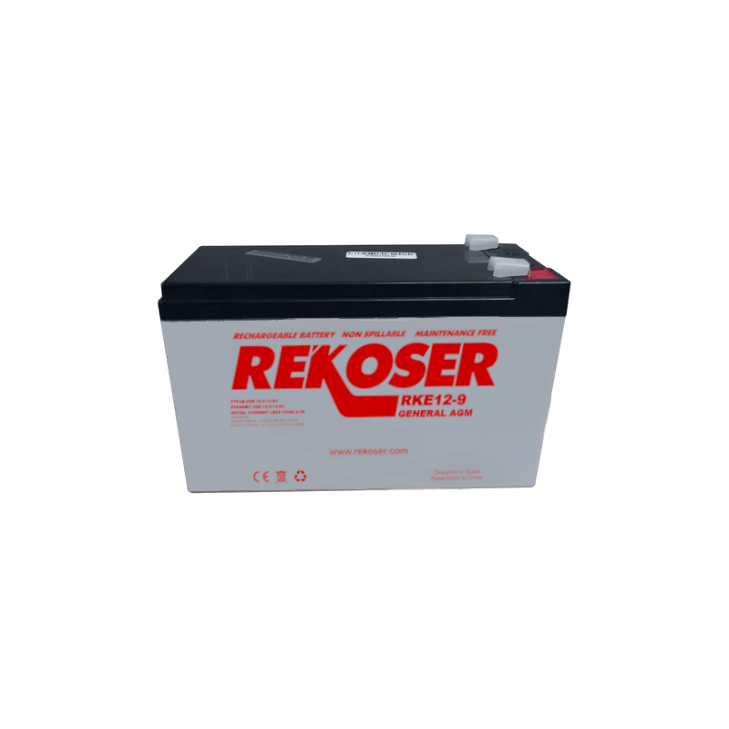 12V9Ah AGM battery RKE12-9