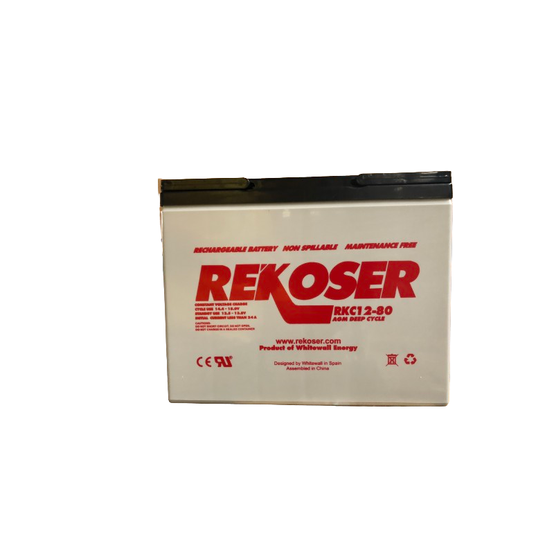 12V65Ah AGM battery RKE12-65