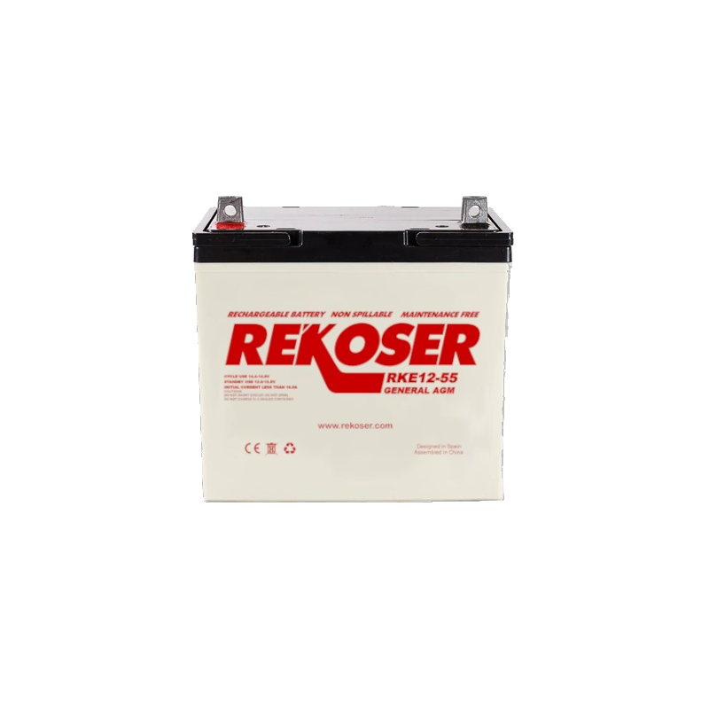 12V55Ah AGM battery RKE12-55